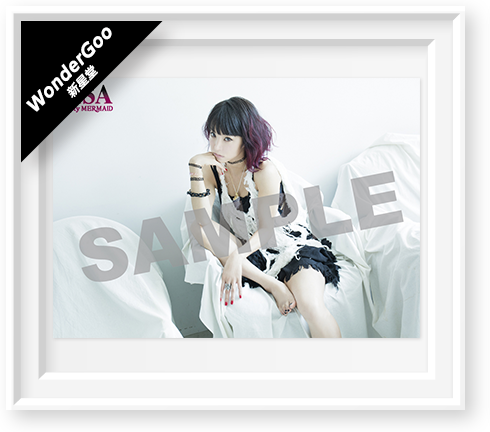 WonderGoo/新星堂